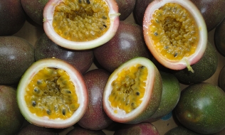 Passion Fruits