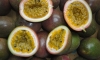 Passion Fruits