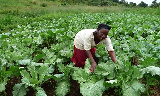 Modern agriculture technologies