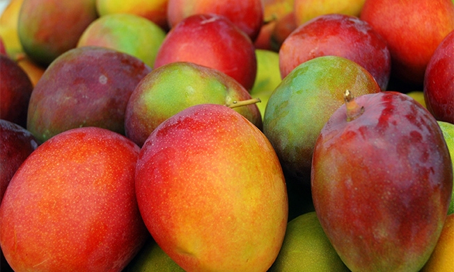 Alphonso Mangoes