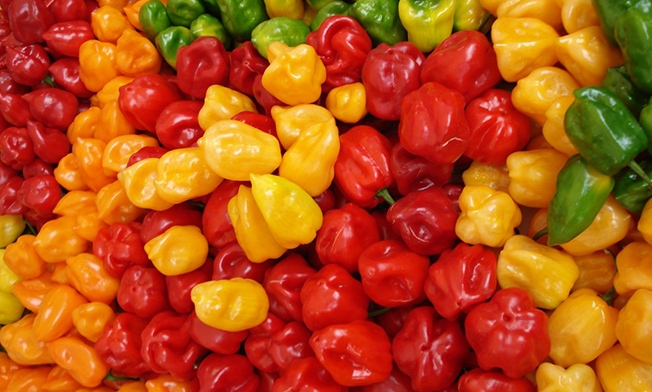 Hot-Pepper